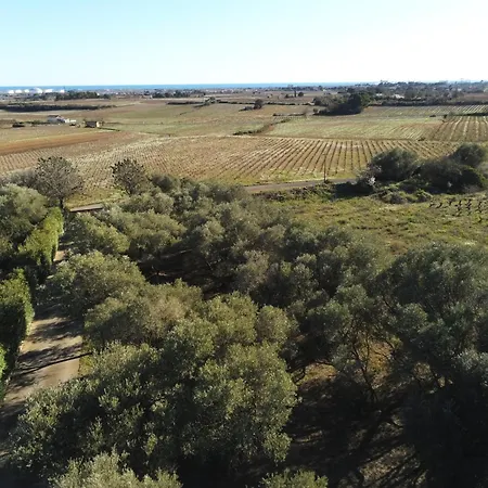 - Mas Saint Pierre *